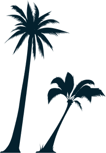 palm trees left